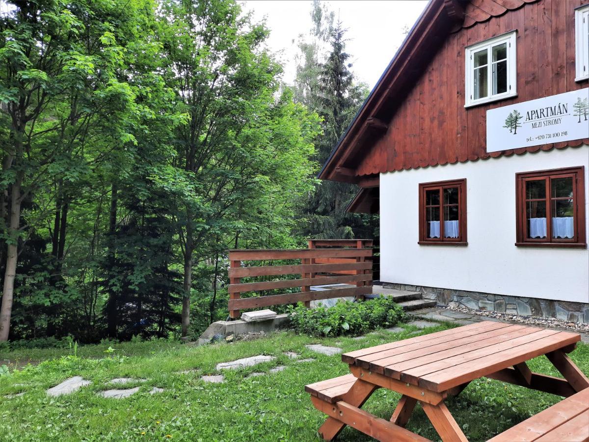 Apartman Mezi Stromy Rokytnice nad Jizerou Exteriör bild