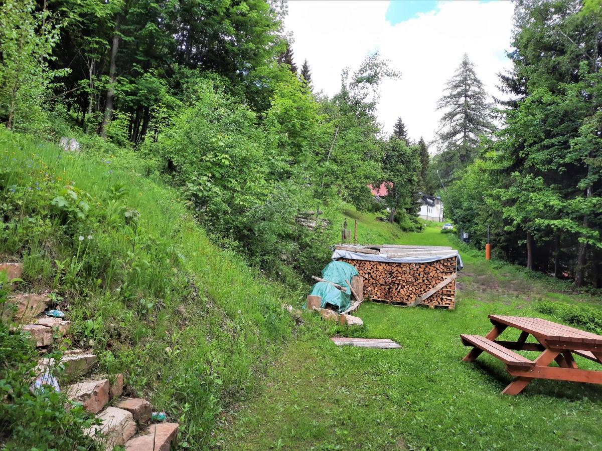 Apartman Mezi Stromy Rokytnice nad Jizerou Exteriör bild